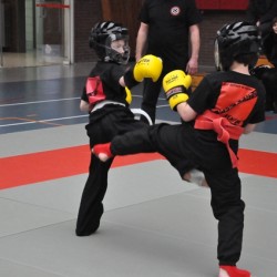2011